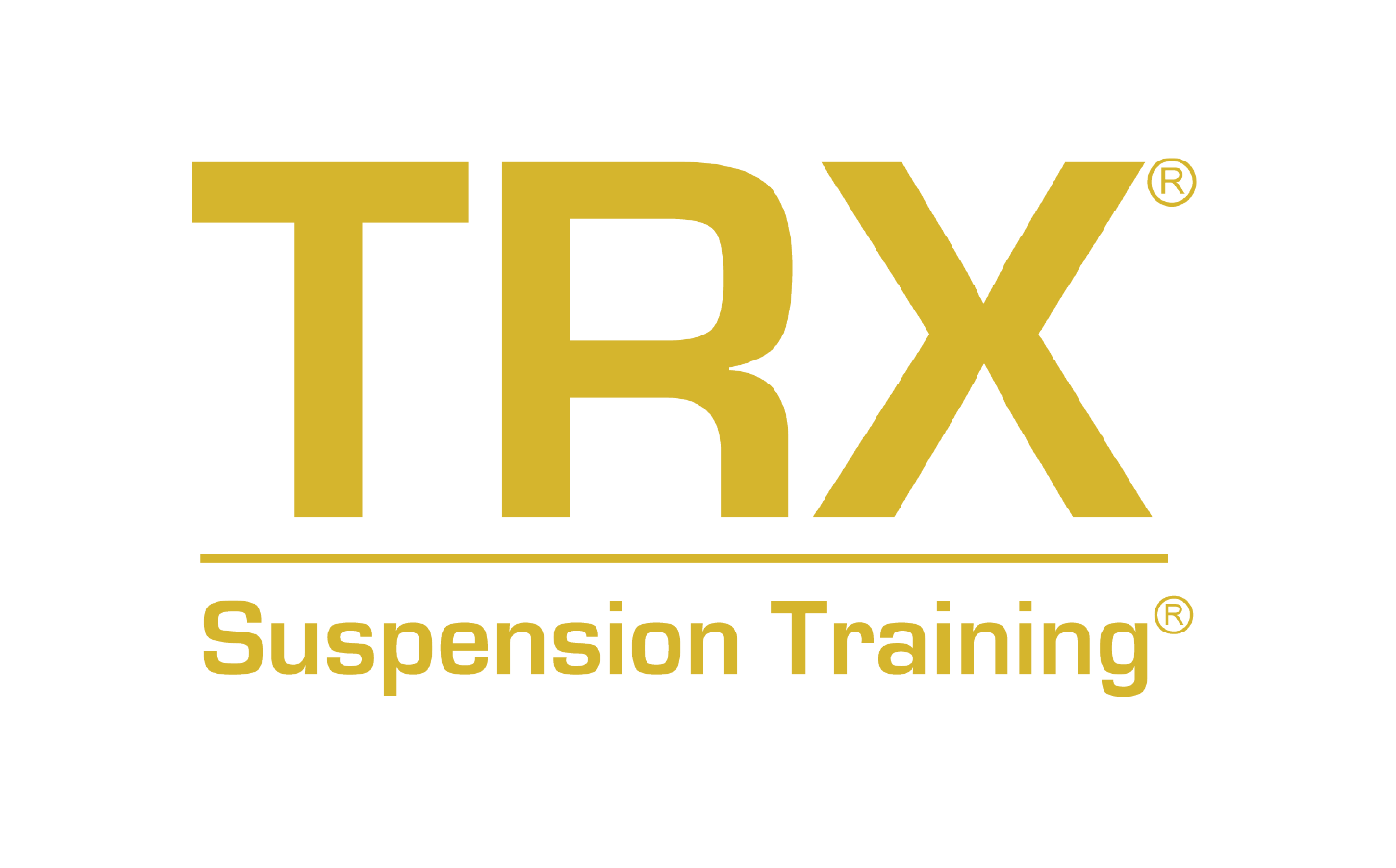 TRX, cours de renforcement musculaire donné au sein de la salle de sport Espace Forme à Aurillac avec gainage en suspension dans les sangles.